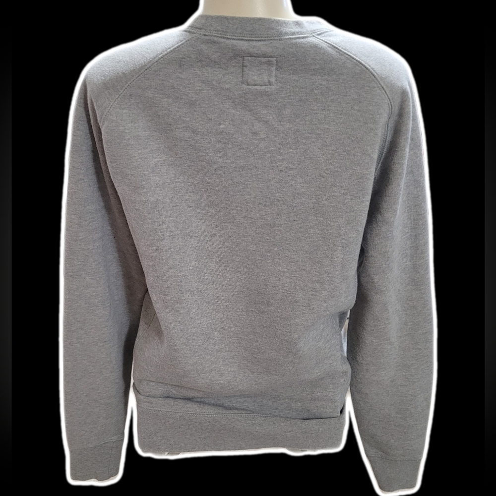 champion sweatshirt 2010s pullover ₊✩‧₊˚౨ৎ˚₊✩‧₊ - Picture 5 of 6